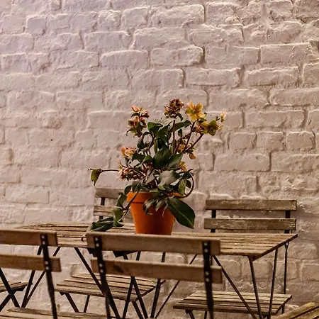 Rose - Hot Tub - Town Centre Location Tatil Evi Scarborough